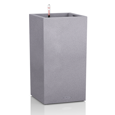 cantro_color 30х56.png