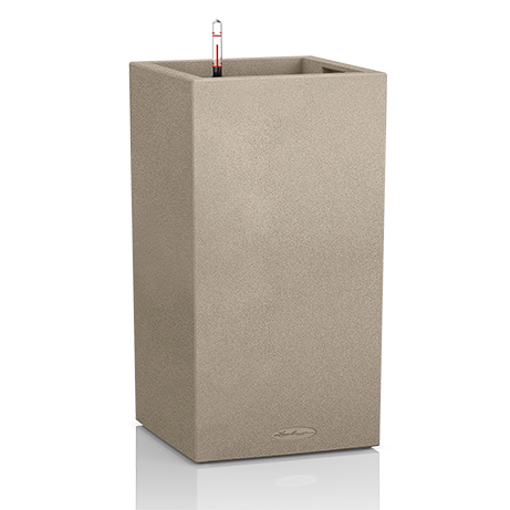 cantro_color_s_sbeige_large.png