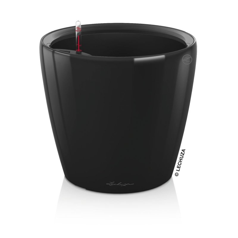 cl43ls black.jpeg