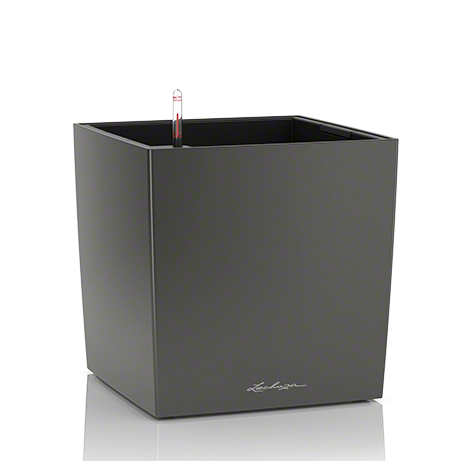 cube_anth_large.png