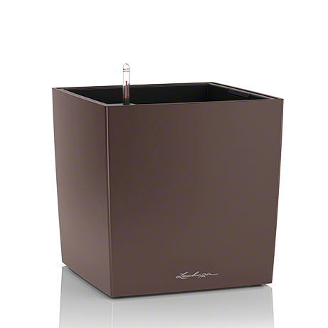 cube_esp_large.png
