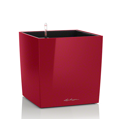 cube_srot_large.png