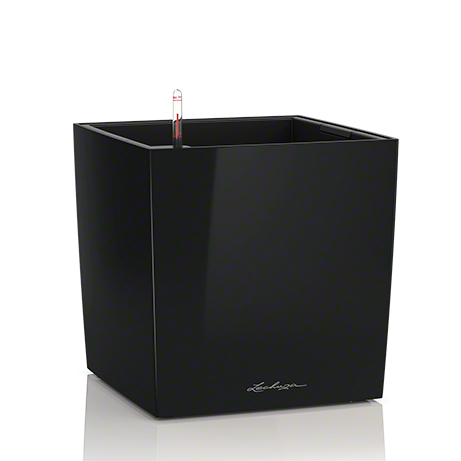 cube_sw_large.png
