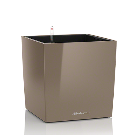 cube_tp_large.png