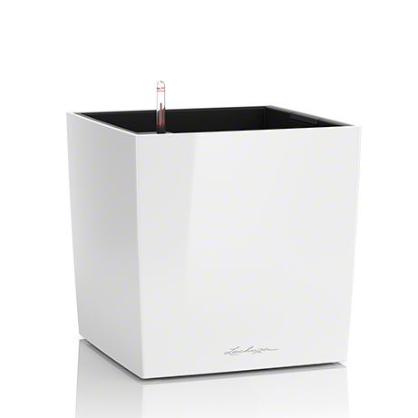 cube_w_large.png
