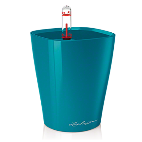 deltini_pfblau_large копия.png
