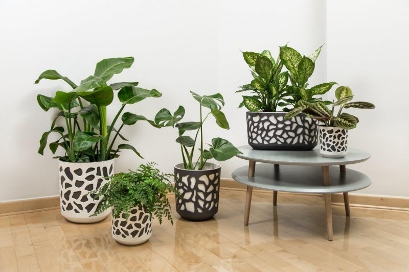 duet_donice_flower_pots_skrzynka_balcony_trough.jpg