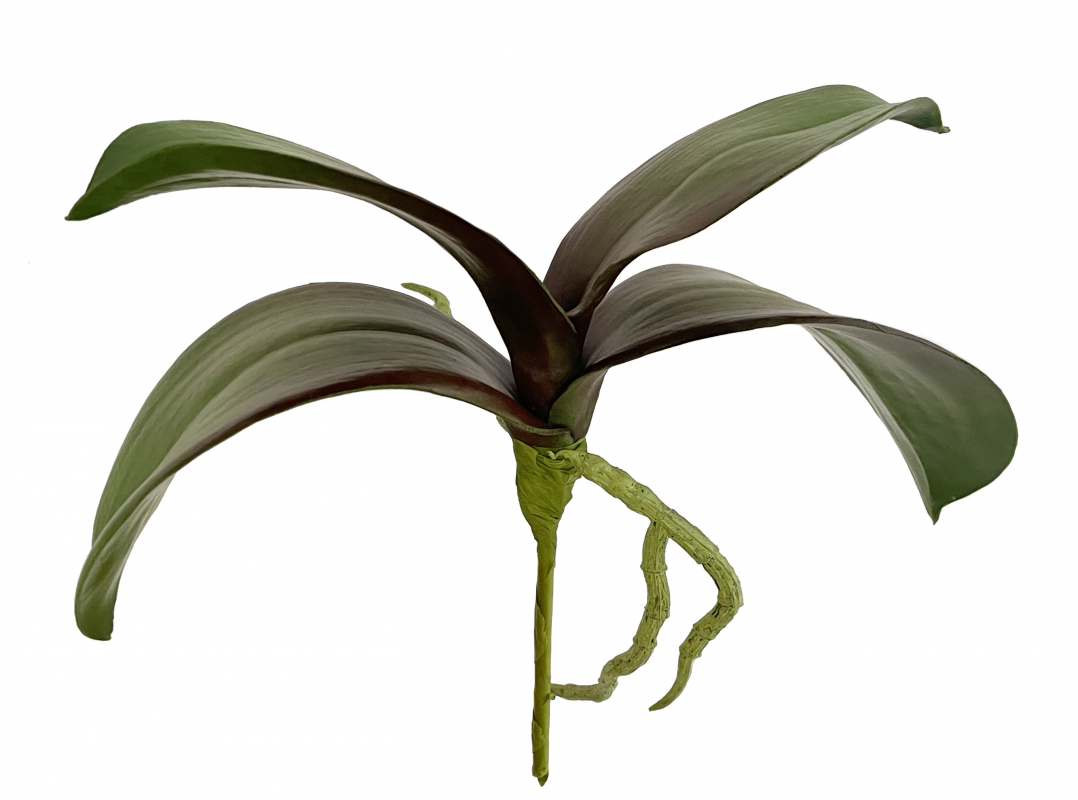 _2026-04-15_140610728.png