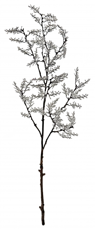 _2026-04-15_142758825.png