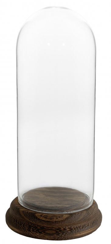 _2026-04-23_124958912.png