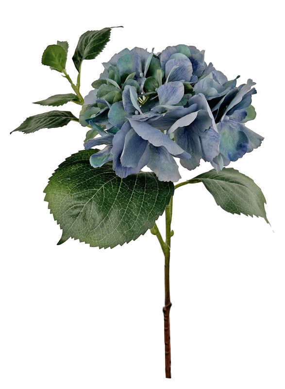 _2026-06-04_131636708.png