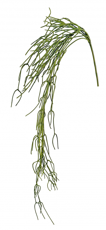 _2026-06-15_131201054.png