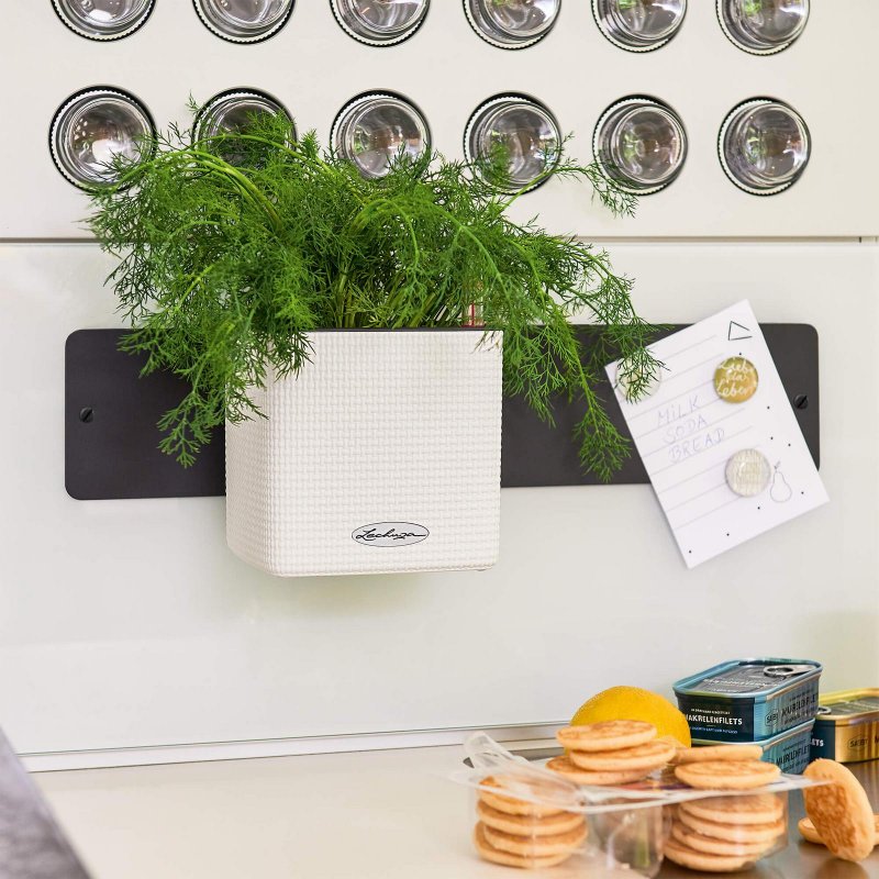le_green-wall-color_product_addi_01.jpeg