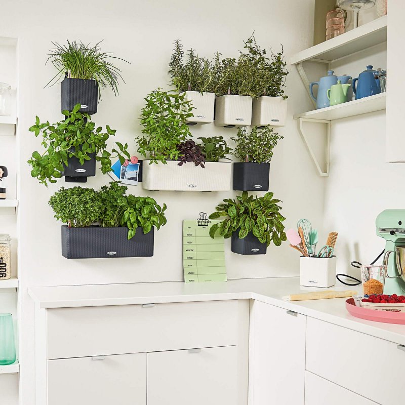 le_green-wall-color_product_addi_02.jpeg