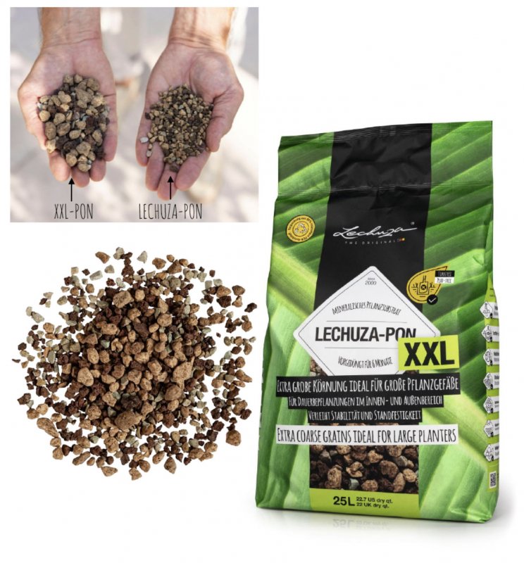 lechuza pon xxl.jpg