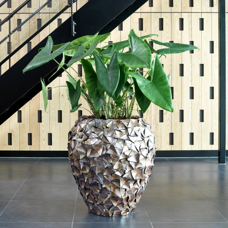 pflanzgefaess-coast-muschel_braun-74x80cm-19499-fleur_ami-01.jpg