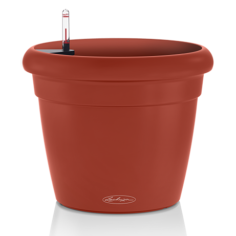 rustico_color_rooibus_large.png