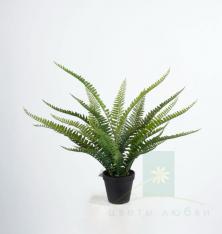Искусственный папоротник Бостон (Boston Fern) 50 см