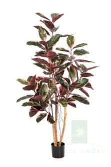 Искусственный Фикус Эластика Ред Руби (Ficus Elastica Red Ruby) крупномер