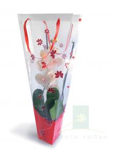Пакет FLORES для комнатных растения